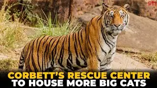 Corbett&rsquo;s Dhela Rescue Center to expand, boosting wildlife conservation