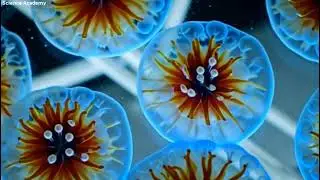A New Era in Cell Regeneration: Can Aging Be Reversed?