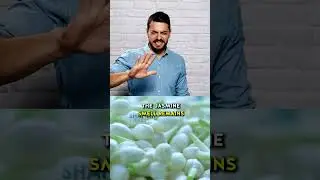 Remove this smell Permanently from Container | Tips and Tricks