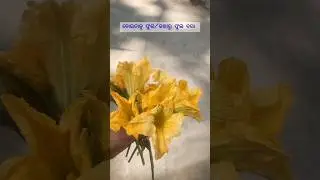Day:-90 of cooking mini vlog... Pumpkin flower pakoda...#cooking#shorts#youtubeshorts#viral