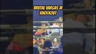 Fernando Vargas Jr BRUTAL KO win vs Coria!