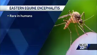 Liberty county deadly EEE virus