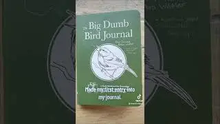Warning: bird nerd ahead