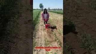 the 25 cm corn field weeding machine.👍