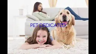 Pet Dedicated