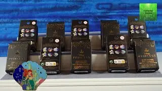Disney Princess Day To Night Loungefly Blind Box Pin Unboxing
