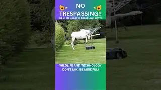 Wildlife and technology do not mix! Tech normally loses! 🤣😹 #funny #wildlife #technology