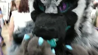 SC Comic Con 2019 Furry Nose Boop Compilation