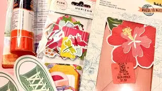 Ollie’s Bargain Outlet haul  // Check it out