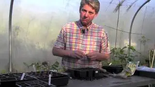 HOW TO SOW MELONS