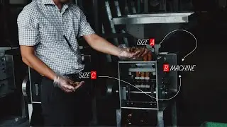 Cashew Cutting Machine Size B: Can It Cut Size A and C Nuts?