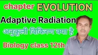#अनुकूलीविकिरणक्याहै#whatisadaptiveRadiation#अनुकूलीविकिरणहिन्दीमे#biologyclass12#