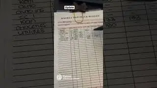 How to use a weekly paycheck budget. *Correct video length #budget #paycheckbudget