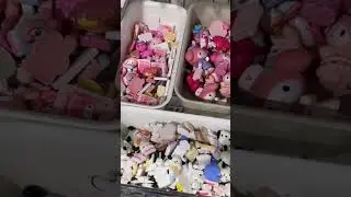 Preferite la mia cover o quella di Arianna??