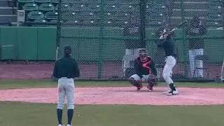 Vibes Spring Training
