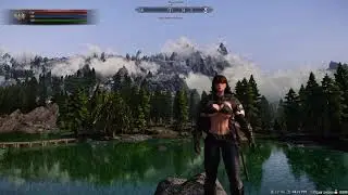 Dual Sheathe and Shield on back animations