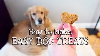 How to Make EASY DOG TREATS | Brownie Bakes