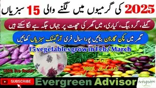 February me konsi sabji lagaye|summer season vegetables|Garmi Ki Sabziyan | grow All veggies at home