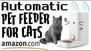🐈 AMAZON Best Modern CAT Feeder 🙀💘 | FURRTUBE