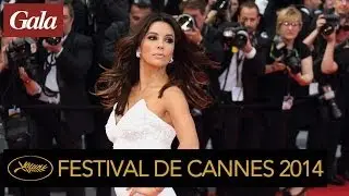 Festival de Cannes 2014 : Eva Longoria fait sa mont&eacute;e des marches