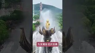 The world's largest 