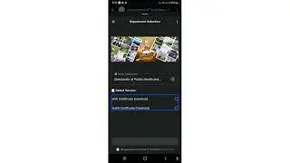 Best AI tool to get government services like download birth certificate in WhatsApp