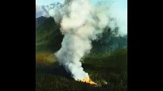 (free) yeat + a dangerous lyfe type beat 