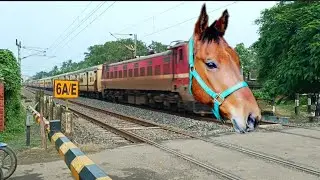 Dangerous Horse Headed Intercity Express Furious Moving Throughout At Railgate 