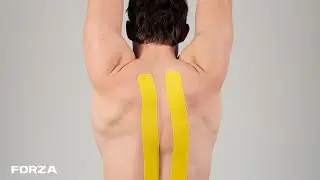 How To Apply Kinesiology Tape To The Back | FORZA Sports Tape