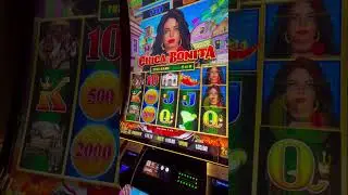 CHEAPA BONITA WRECKS US 😡DURING THIS BONUS ON A 10.00 BET #slots #casino #cheap #gamble
