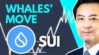 SUI Price Warning Sign? Wyckoff Analysis : What Are Whales Doing?