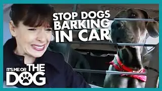 How to Stop Your Dog Barking in the Car  | It's Me or the Dog