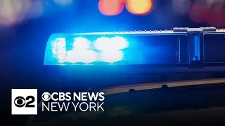 Undercover NYPD investigator helps foil alleged ISIS support plot in Texas, officials say