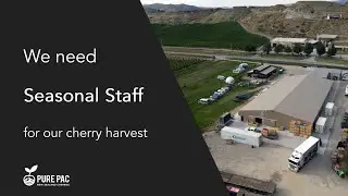 We need Seasonal Packhouse Staff for our Cherry Harvest