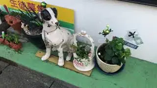 🇯🇵 Rokusei 六盛, walking from Nogamihonkan 野上本館
