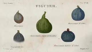 Histoires d'Archives de l'École nationale supérieure de paysage - Potager du Roi et jardiniers