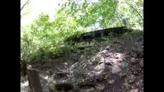 Historic Road by Suwannee Springs