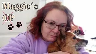 MAGGIE&acute;s OP  -  Der Tierarzt hat uns vergessen! + Shopping bei ALDI
