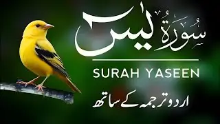 Surah Yaseen | Surah Yaseen With Urdu Translation | Al Furqan Studio | Ep065