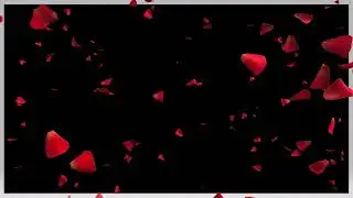 Rose Fall Green Screen Video Background Effect _2022_KA_VIDEO