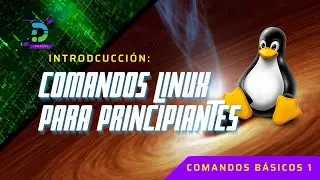 Aprende los 5 comandos esenciales de la terminal Linux