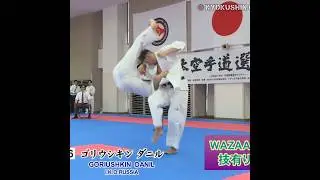 Вазари и Иппоны 57 Абсолютного Чемпионата Японии с комментариями А.Ерёменко. Видео: @kyokushinonline