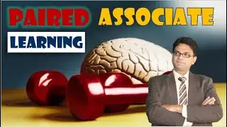 Paired Associate Learning Explained with Educational Examples | Psychology for Students