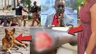 Very sad.. Captain Smart to storm Chinese man's work after his Dogs attacked & chew Ghanaian worker