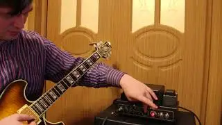 Traynor DH 15