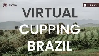 Algrano x Ikawa Virtual Cupping - 2nd Edition - Brazil