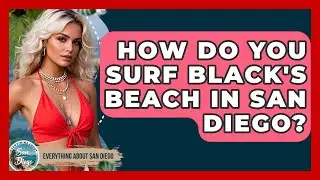 How Do You Surf Black's Beach In San Diego? - Everything About San Diego