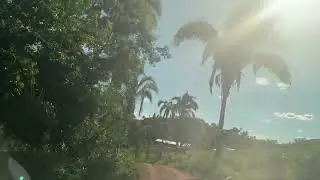 Chegada ao Parnatins: estrada verde, capim alto e muito trabalho pela frente!