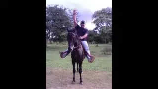 Otro diciembre sin el paco 