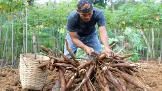 membuat kerupuk dari singkong oseng kulitnya dengan sereh muda dan udang kering